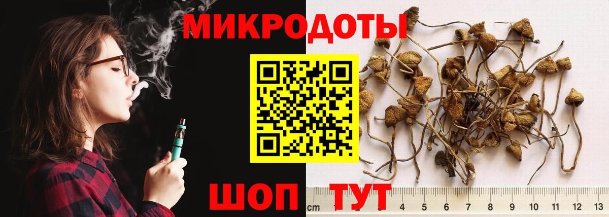 Галлюциногенные грибы Psilocybine cubensis  Вход с VPN  Майский 